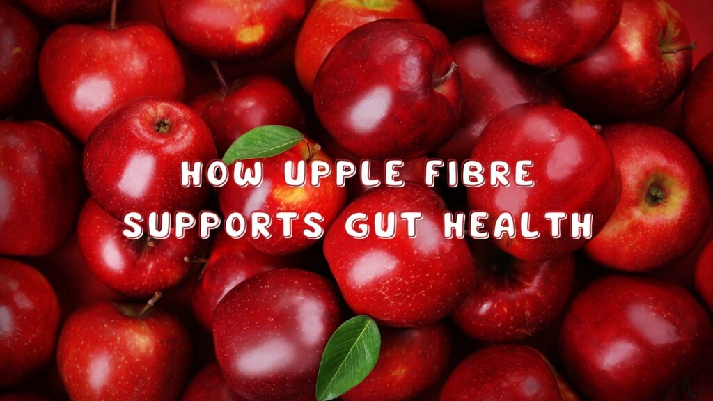 How Upple Fibre Supports Gut Health